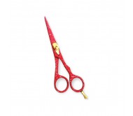 Professional Hair Cutting Scissors